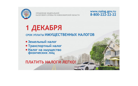 1 декабря срок уплаты имущественных налогов
